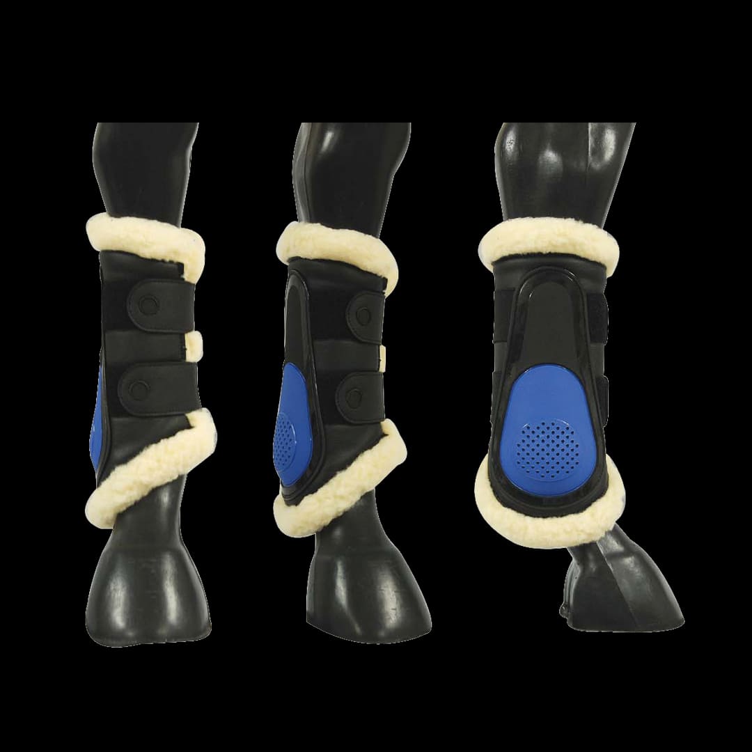 botte de dressage